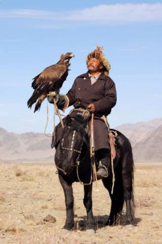 Киргизская лошадь - Породы лошадей - Породы - Каталог статей - Дом лошадей